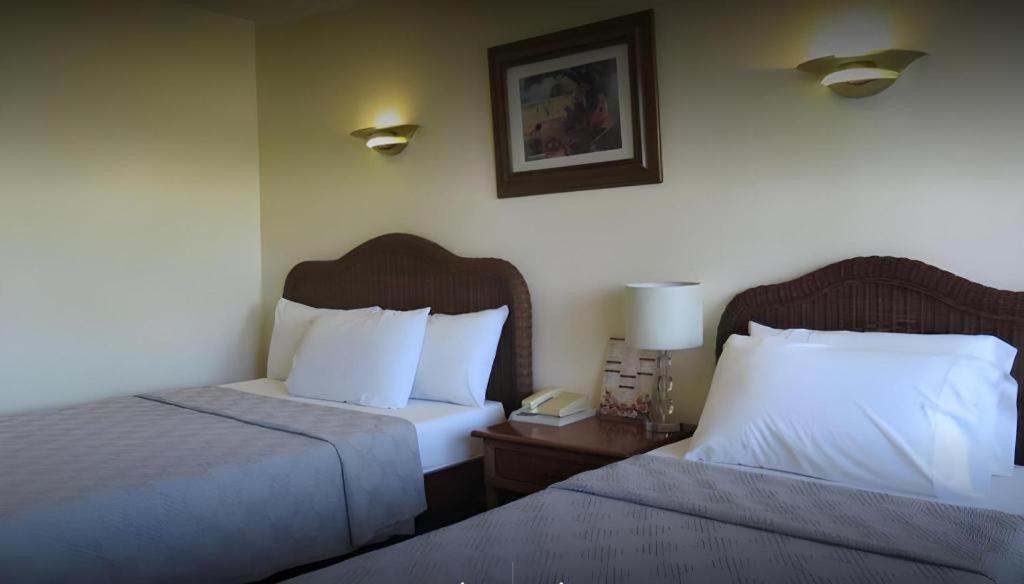 Vacation Hotel Cebu Dış mekan fotoğraf
