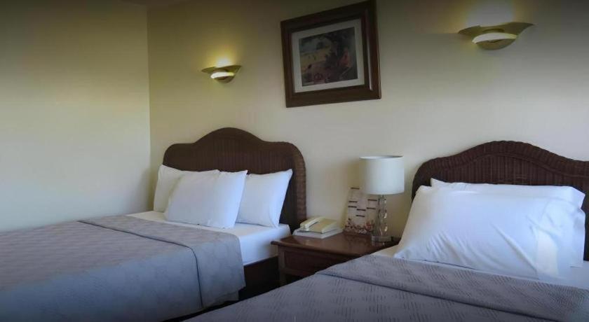 Vacation Hotel Cebu Dış mekan fotoğraf